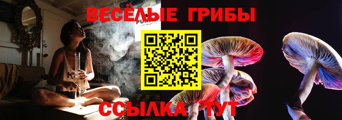 магазин    Псилоцибиновые грибы мухоморы  Рубцовск  Вход с VPN  Псилоцибиновые грибы прущие грибы 