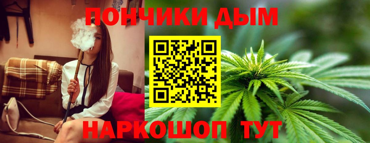 Бошки марихуана Bruce Banner  Конопля SATIVA & INDICA  Вход с VPN  Рубцовск  Конопля ГИДРОПОН 